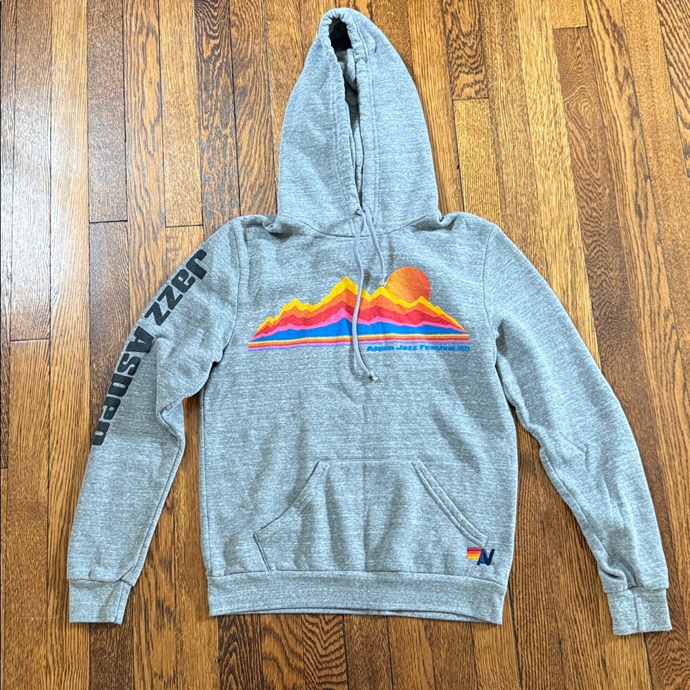 Aviator Nation Gray Hoodie with Colorful Mountain Design